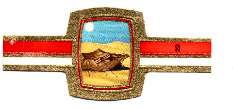 casa_012.jpg
