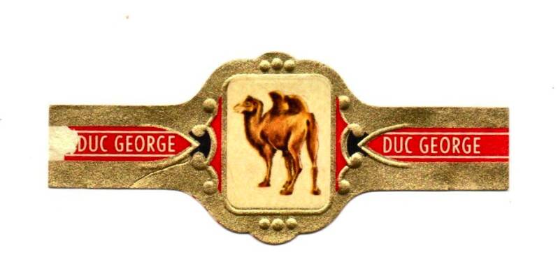 duc_george_000.jpg