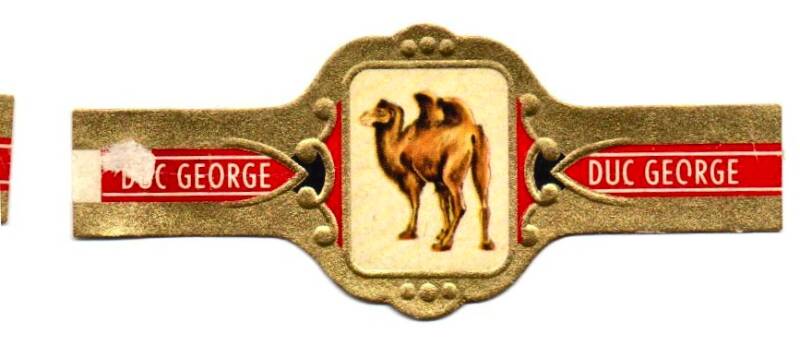 duc_george_003.jpg