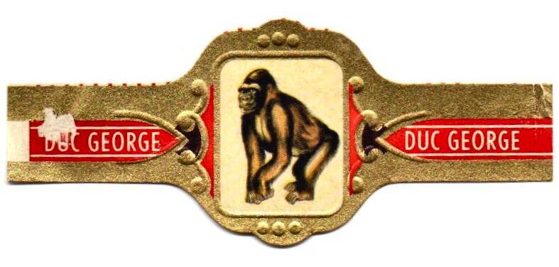 duc_george_005.jpg