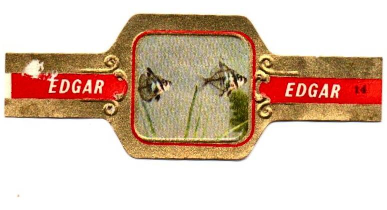 edgar_005.jpg