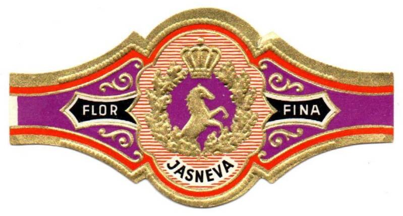 jasneva_005.jpg