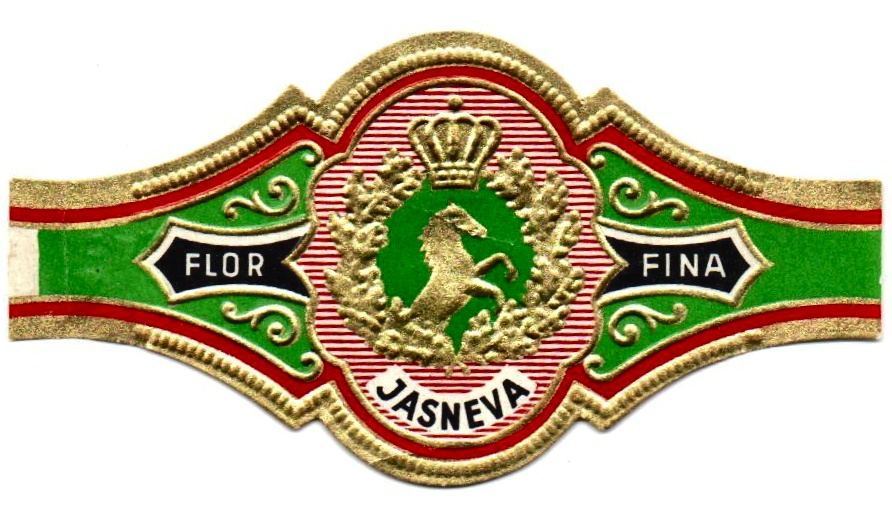 jasneva_137.jpg