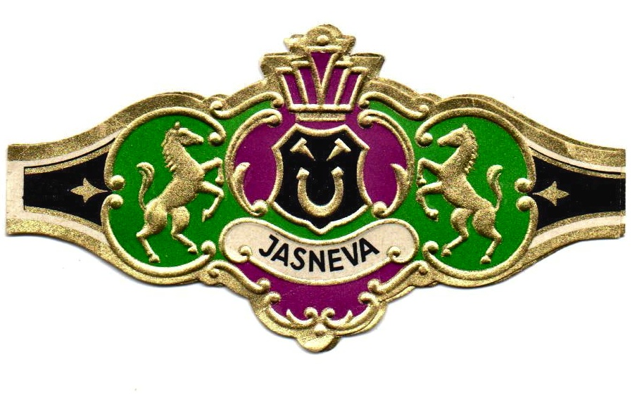 jasneva_165.jpg