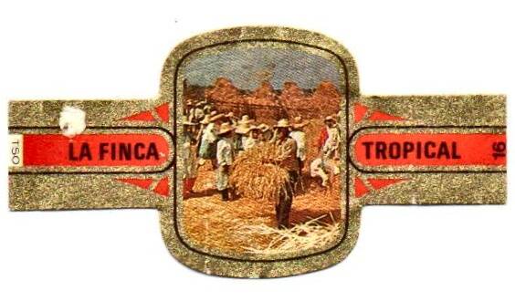 la_finca_tropical_000.jpg