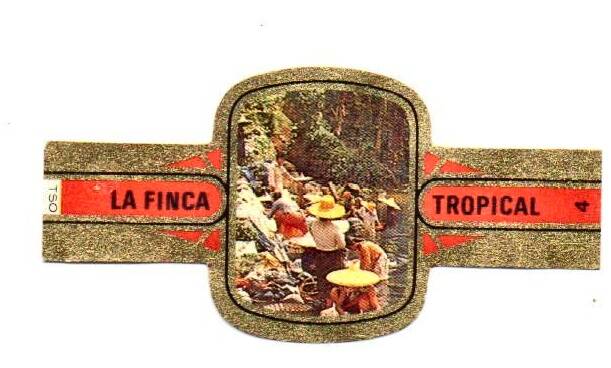 la_finca_tropical_001.jpg