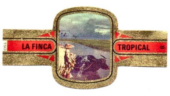 la_finca_tropical_005.jpg