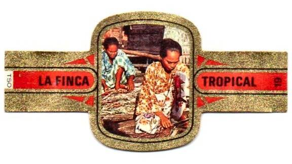 la_finca_tropical_006.jpg