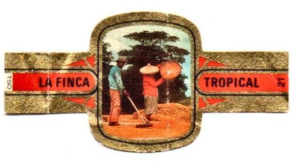 la_finca_tropical_007.jpg