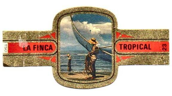 la_finca_tropical_009.jpg