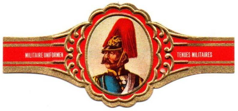 paladijn_010.jpg