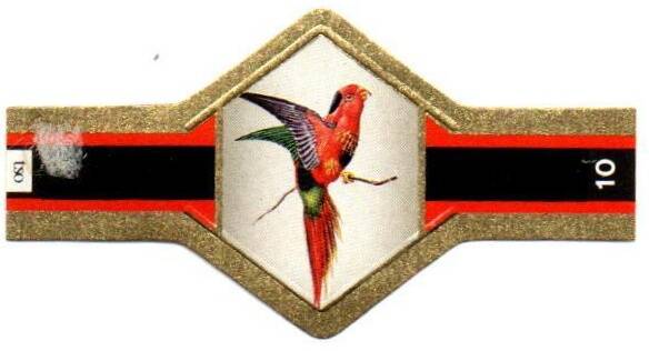 vogels_002.jpg