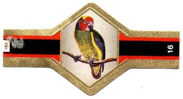 vogels_005.jpg