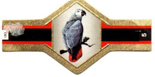 vogels_007.jpg