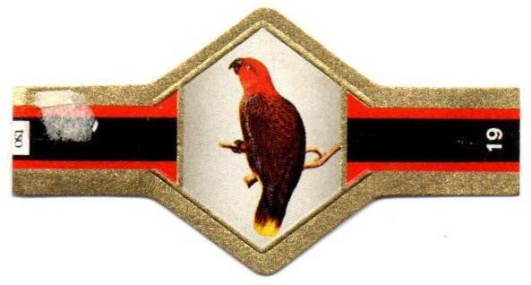 vogels_009.jpg