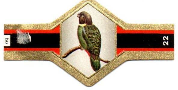 vogels_011.jpg