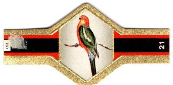 vogels_013.jpg