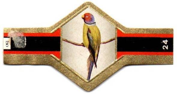 vogels_016.jpg