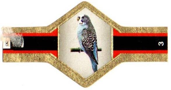 vogels_023.jpg